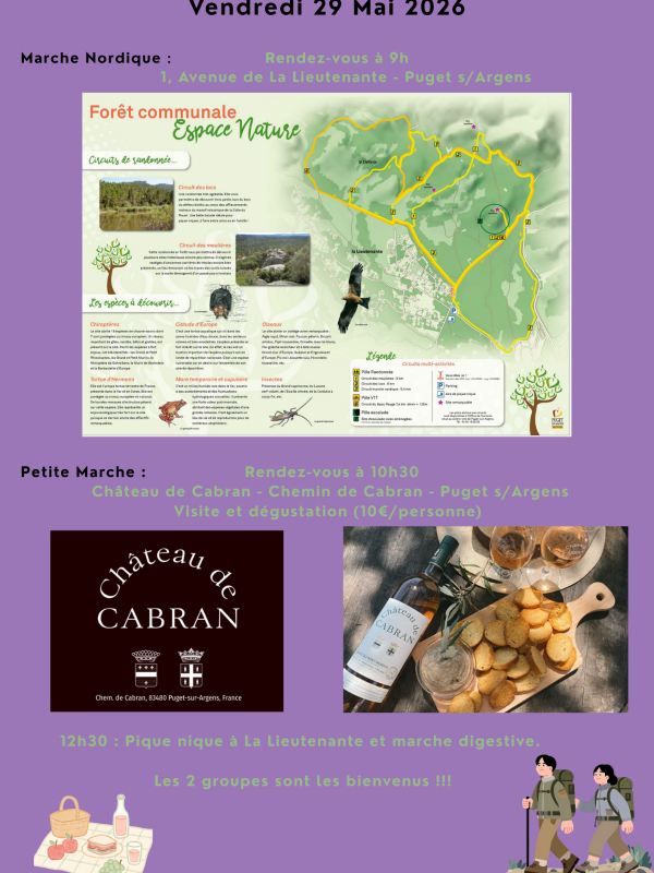 Séance du 29_05_2026